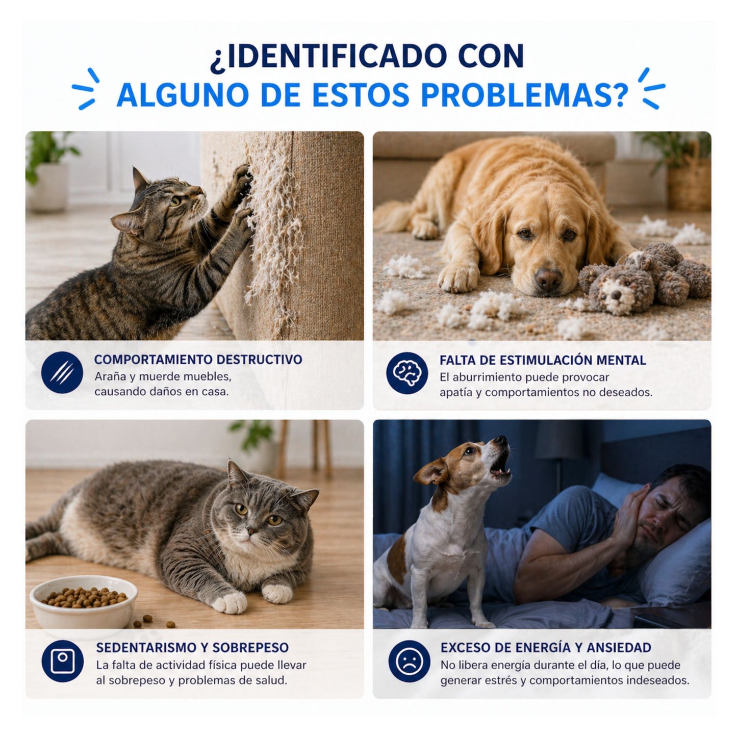 Pescadito interactivo - Anti estrés